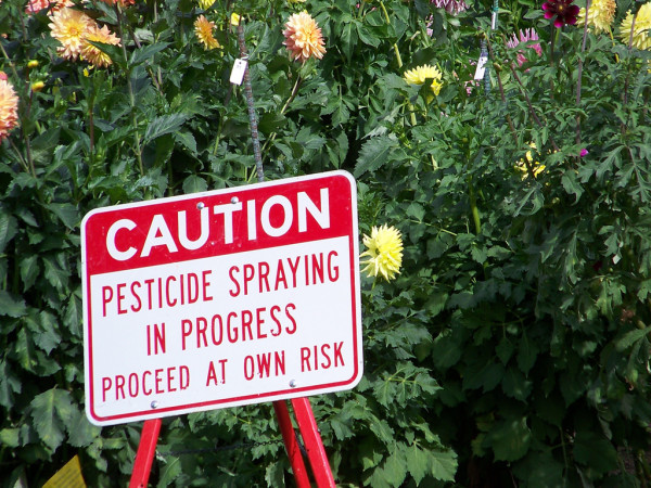 Pesticides Linked to Increased Autism Risk