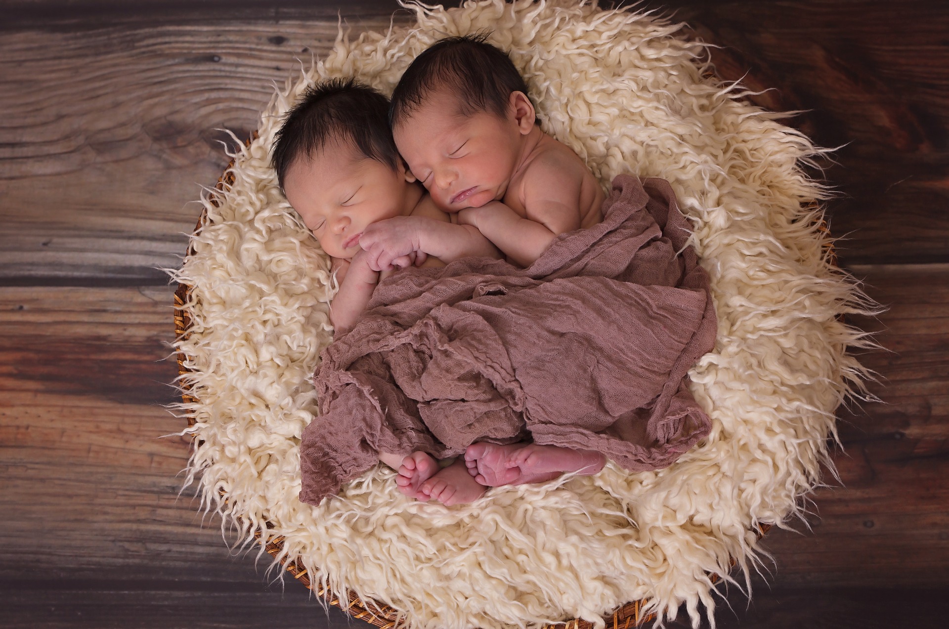 Not So Identical After All: Twins and the Immune System