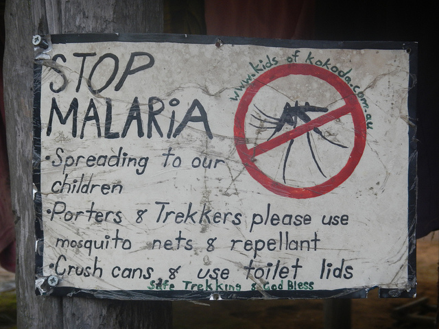 Brain Swelling Tied to Deaths From Cerebral Malaria