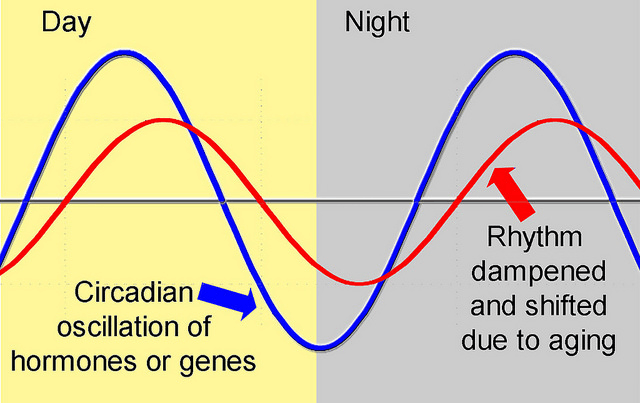 The Devastating Effect of All Nighters: How One Night Alters Your Genes