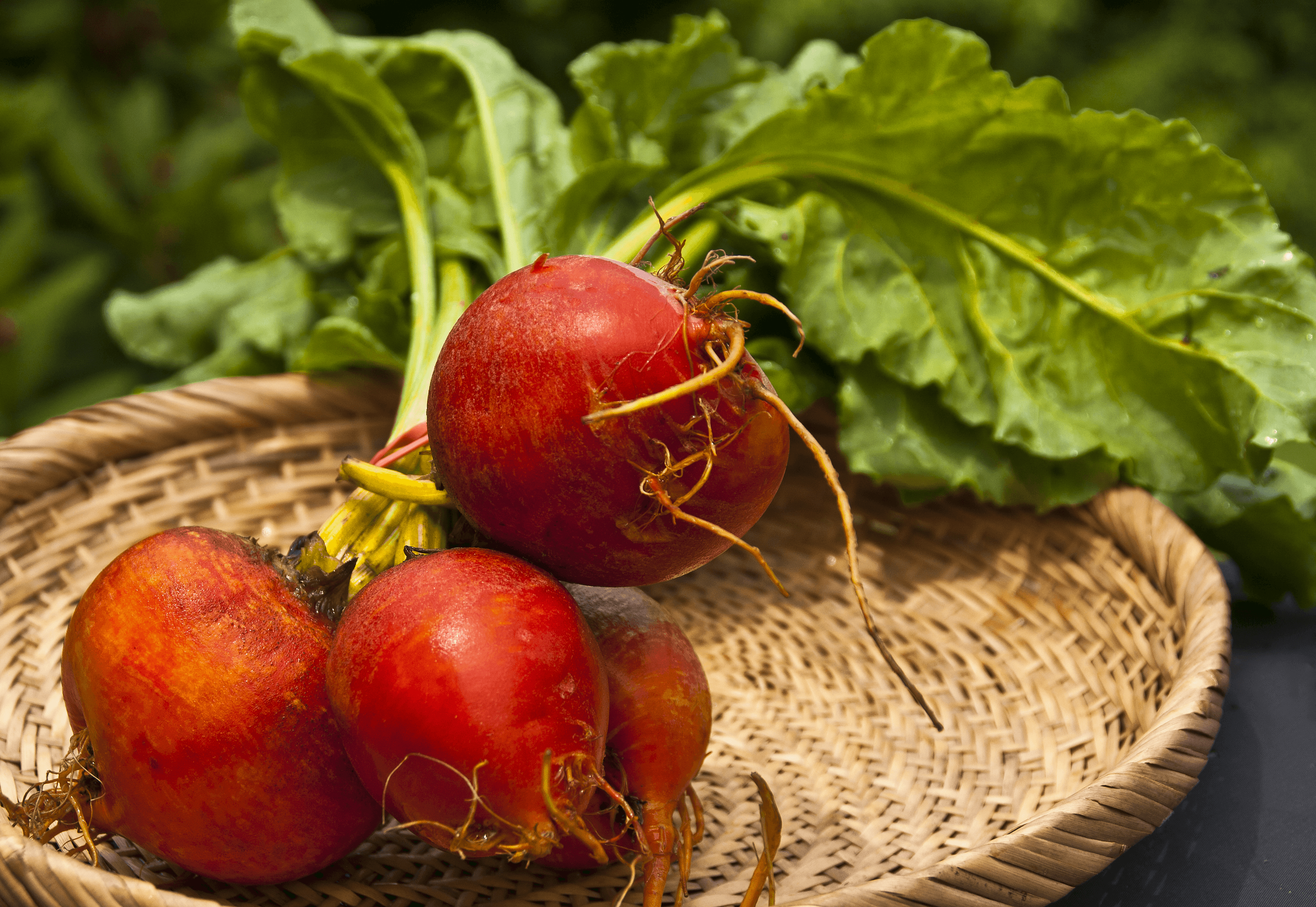 Beet Juice: Your New Weapon