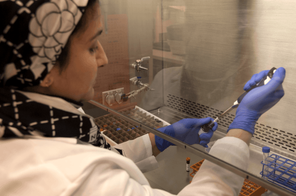 Growing Petri Dish Brains