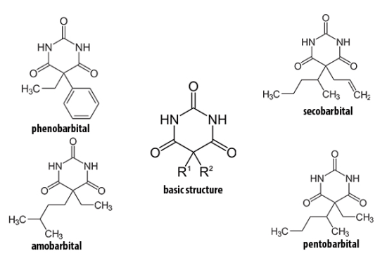 Barbiturate family. Note their common features and difference. Source: Warrick Ma