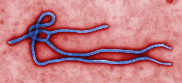 What Lingering Ebola Means for the Future