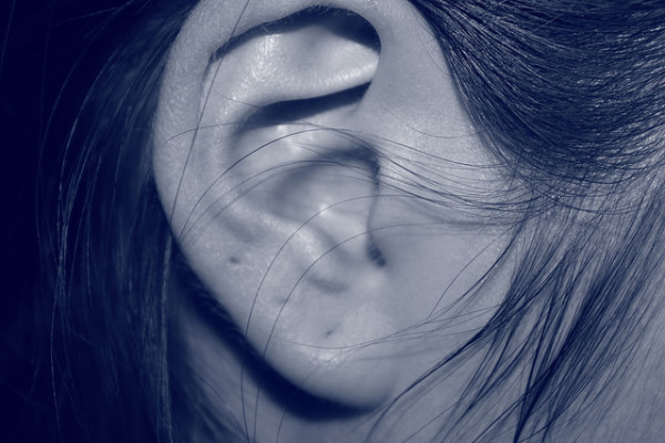 How the Ears Hear