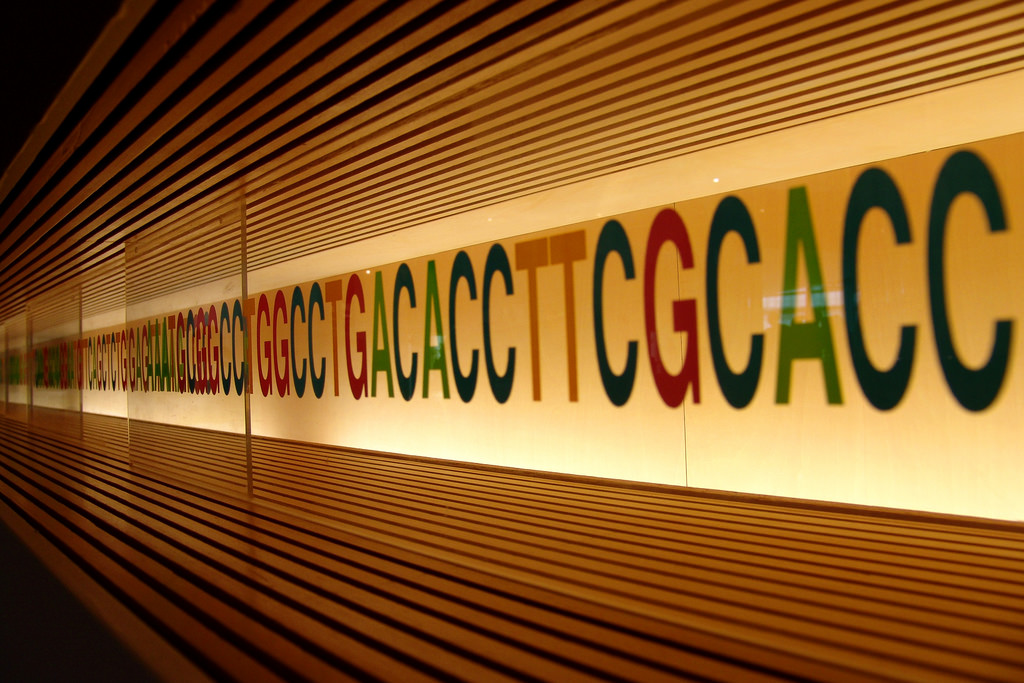 Web Application Allows Researchers to Explore Cancer Genome