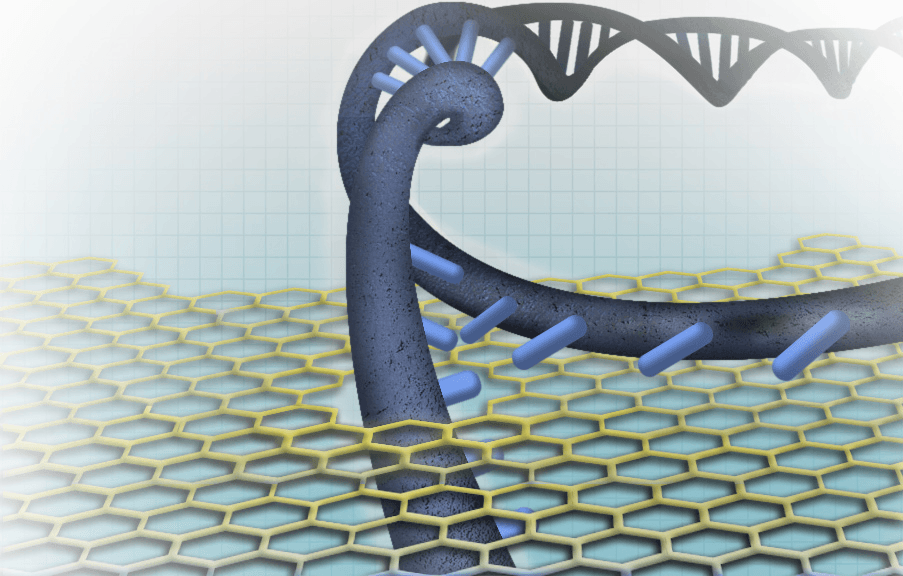 DNA Sequencing Method Uses Graphene Nanopore