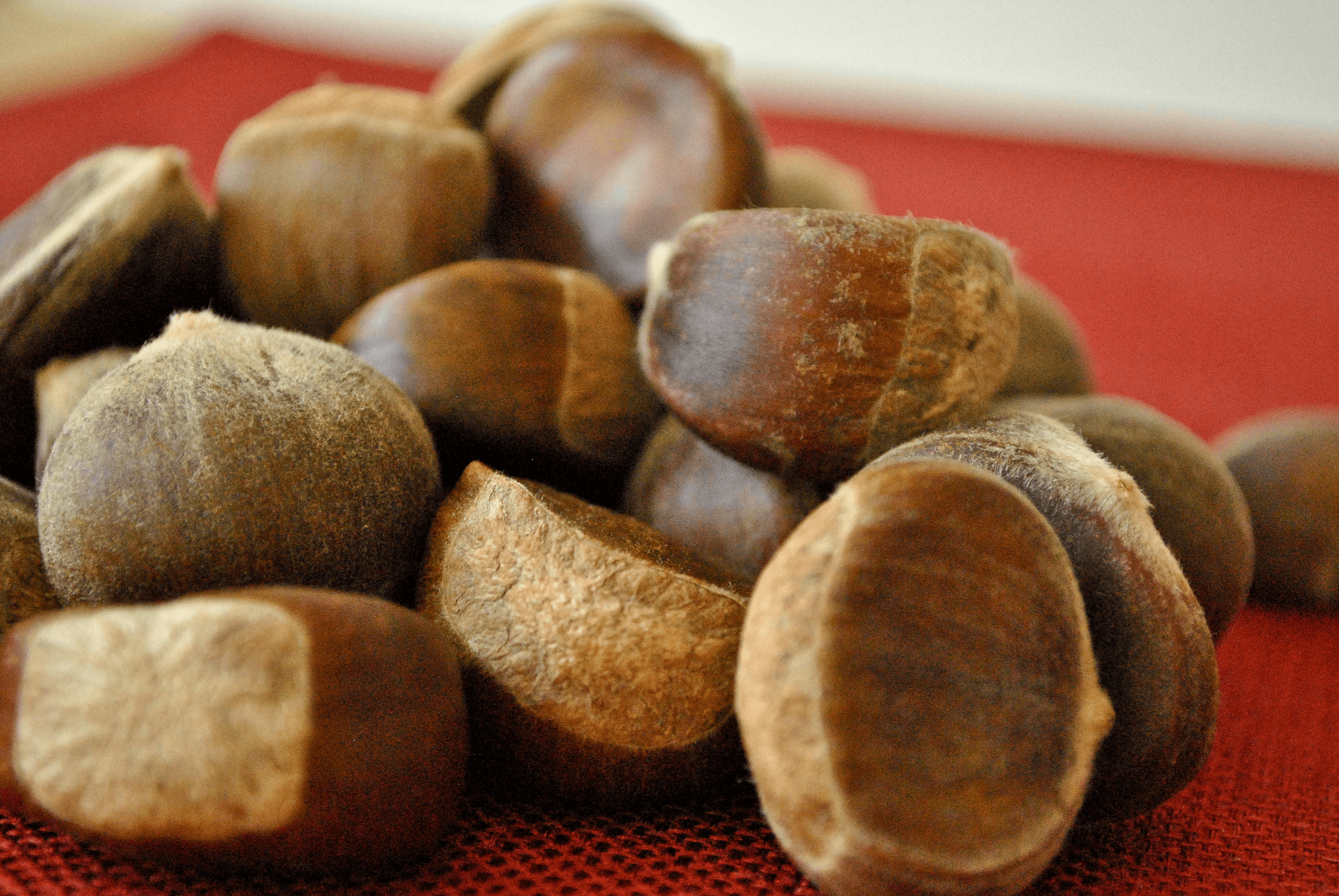 Chestnuts Block the Effects of Staph Bacteria