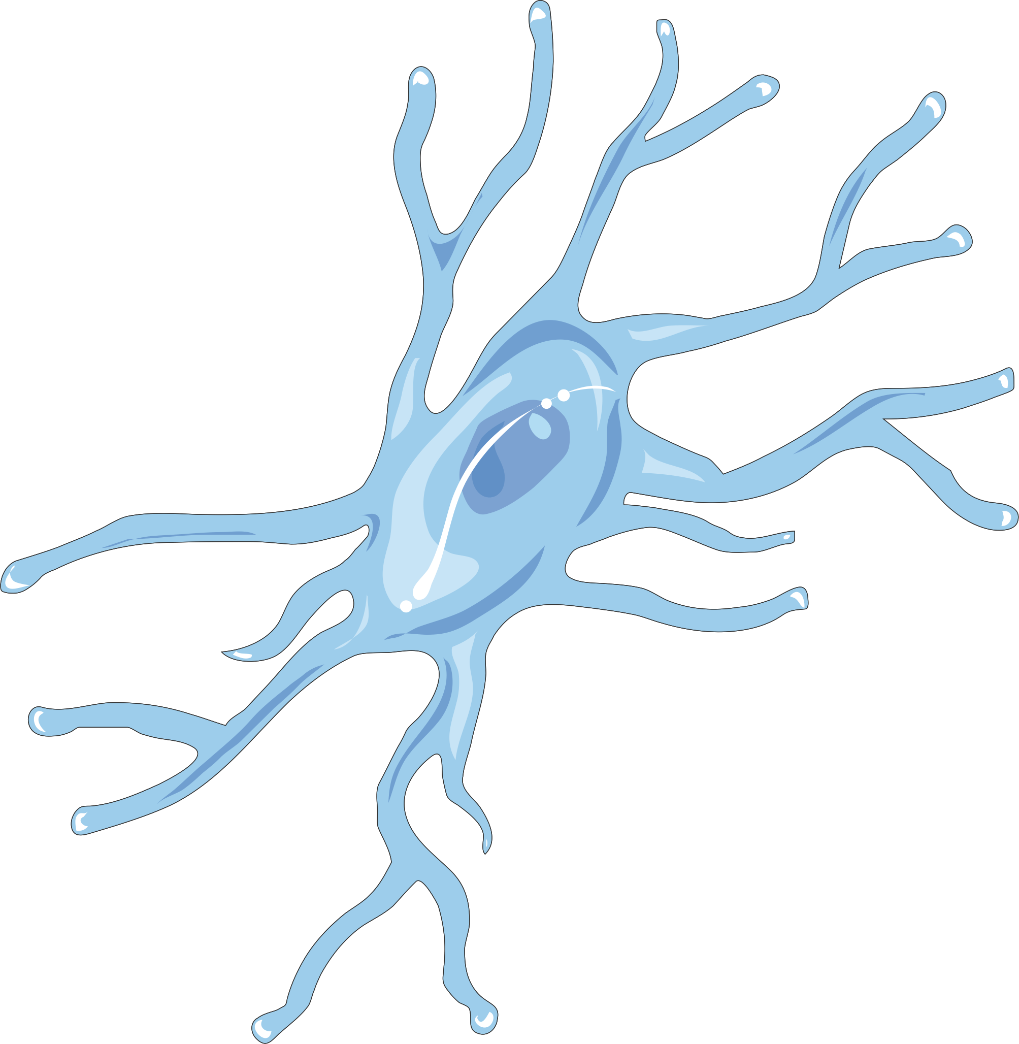 Microglia Reduce the Effect of Cocaine in the Brain