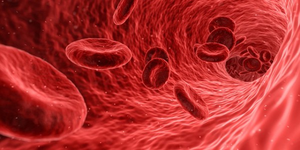 Memory-Rejuvenating Effects of Umbilical Cord Blood Plasma