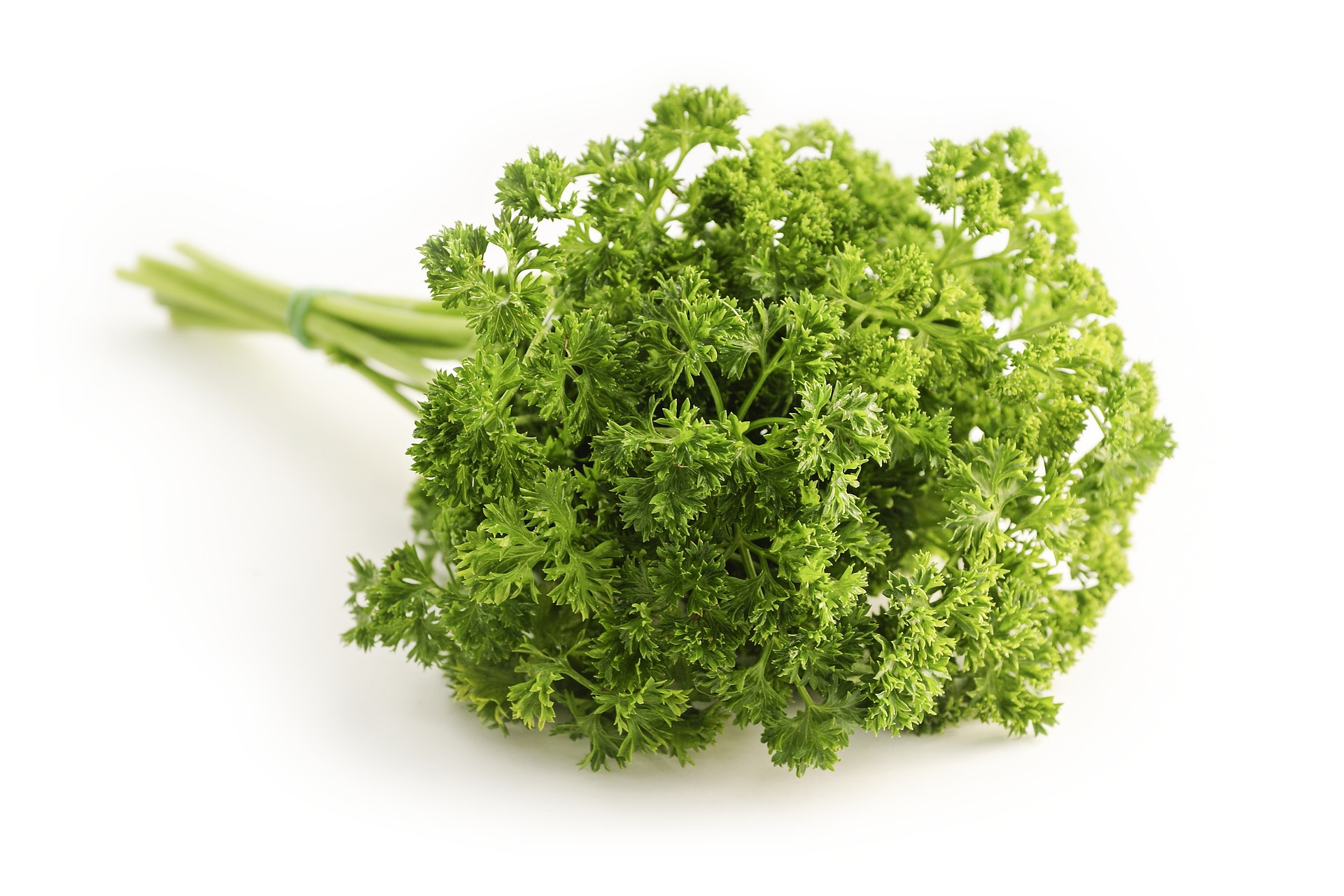 Parsley: Not Your Usual Garnish