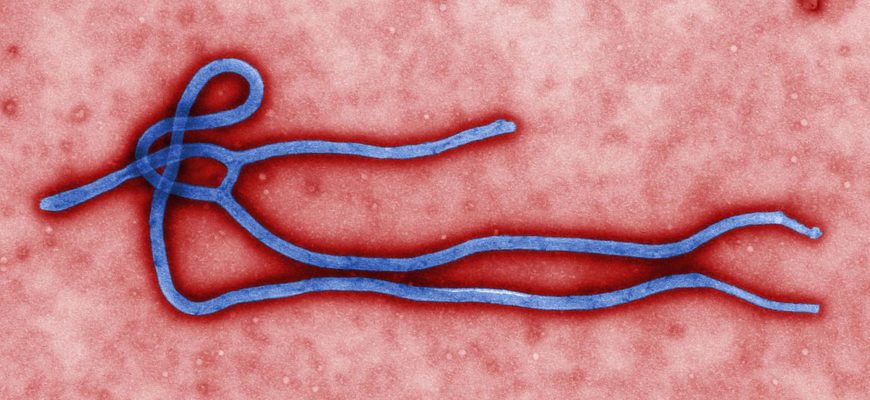 Ebola Breaks Out in the Democratic Republic of Congo