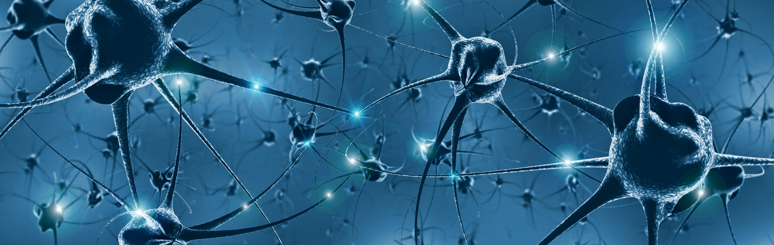 Personalized Neuron Transplants Reduced Parkinson’s Symptoms in Primates