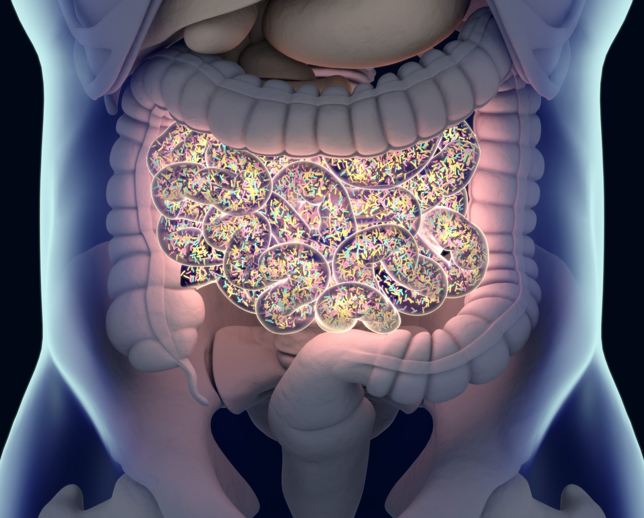 How Do We Acquire Our Gut Microbiome?