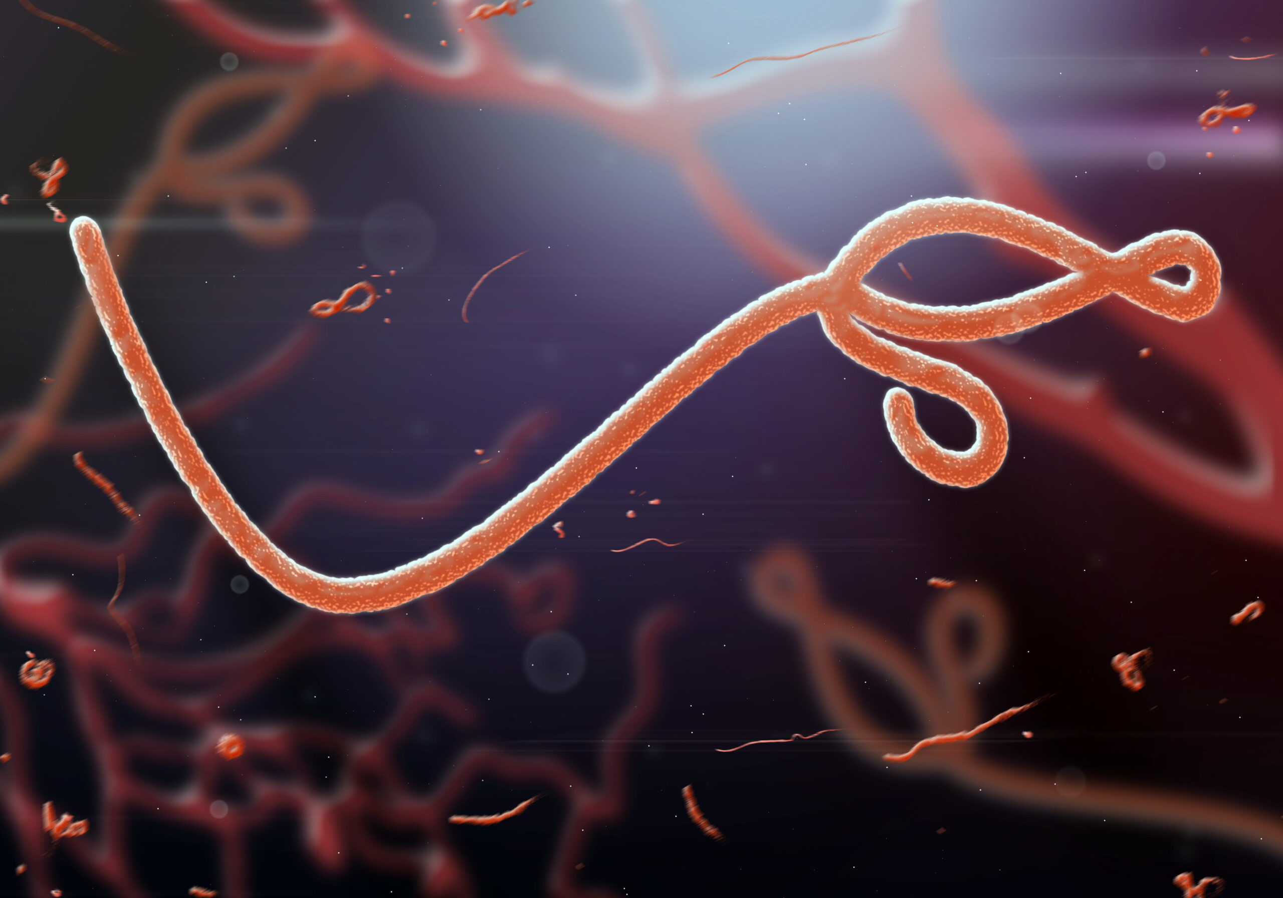 Ebola Virus Can Hide In Brain and Reinfect Patients