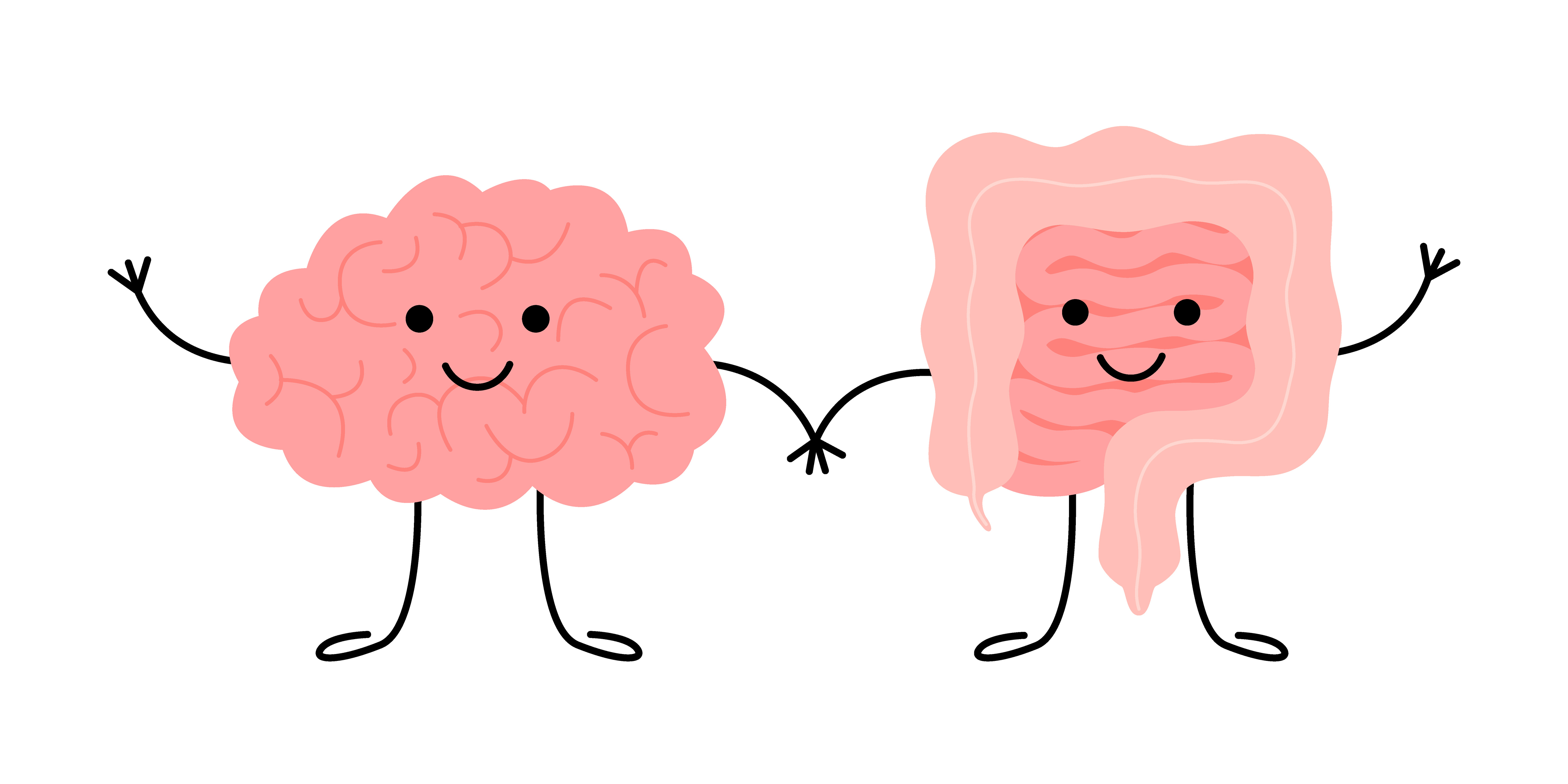 Gut Reactions: Controlled By Our Brain Or Our Body?