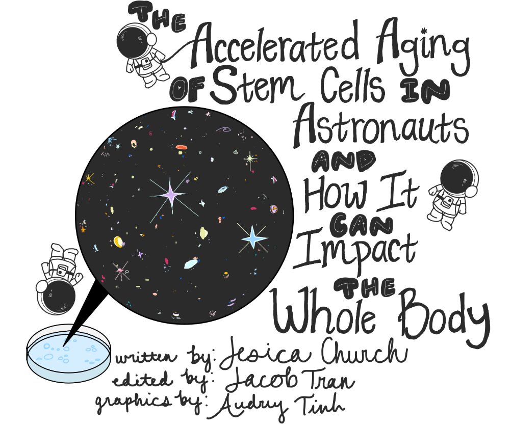 [UCSD Winning Article] The Accelerated Aging of Stem Cells in Astronauts and How It can Impact the Whole Body