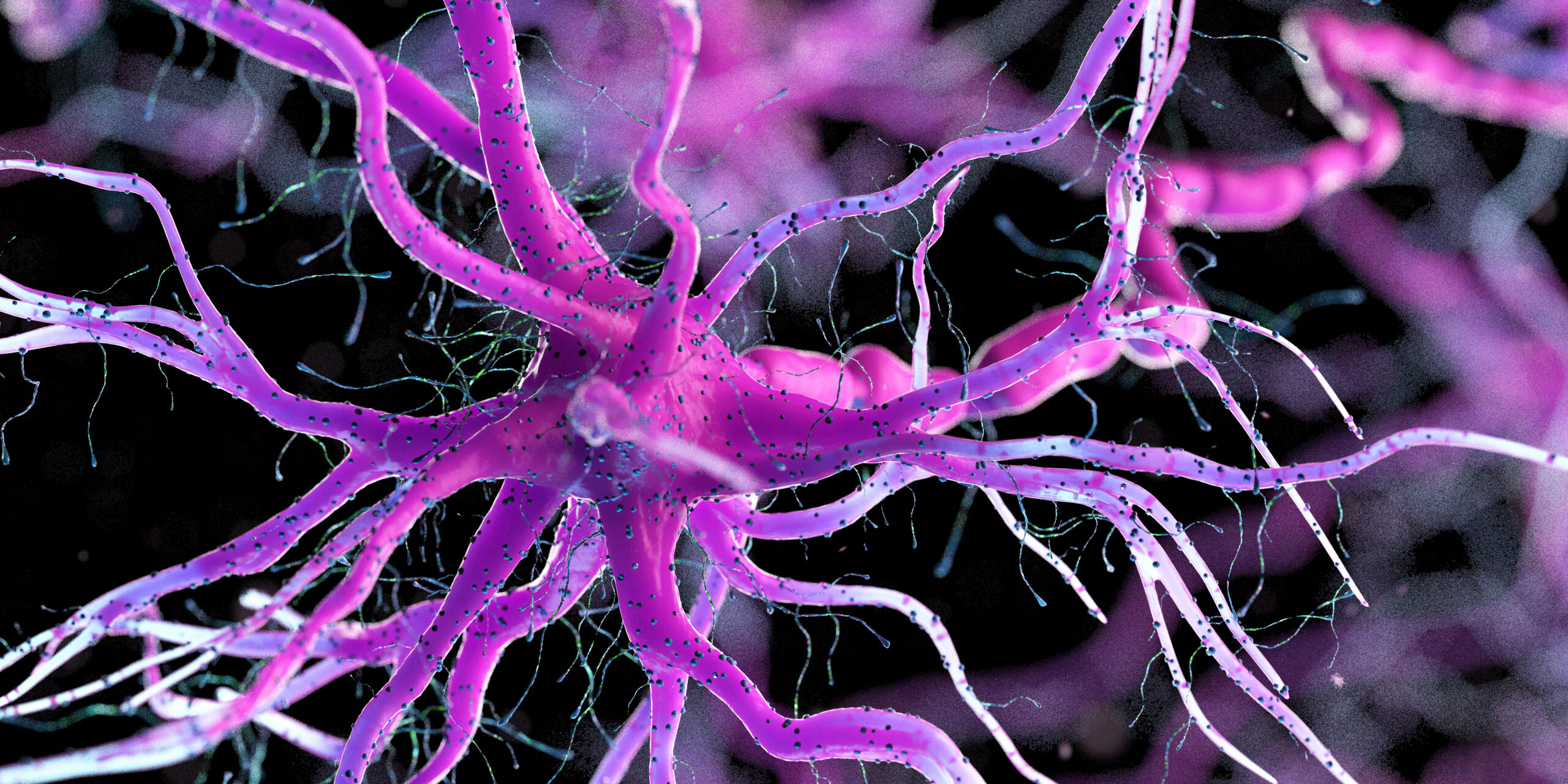 All About the New Target for Dementia Medication, CUL5